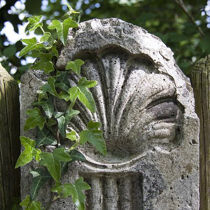 camino-santiago